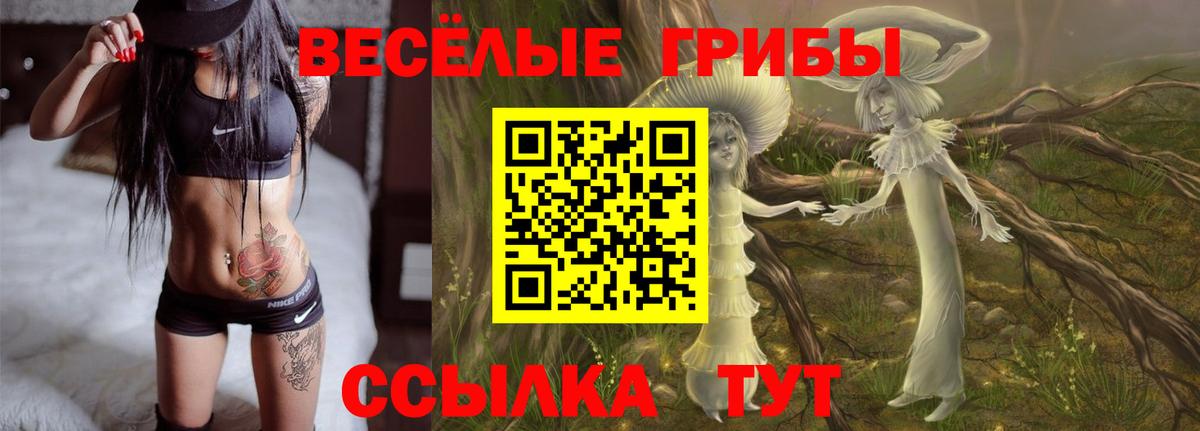 Псилоцибиновые грибы Magic Shrooms  Галлюциногенные грибы Magic Shrooms  Тавда  Вход с VPN 